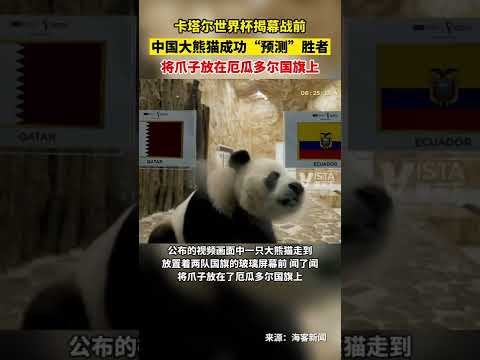 風阻逆勢創,紀錄,肯雅選手,新葡京,新葡京app,新葡京娱乐,新普京赌场